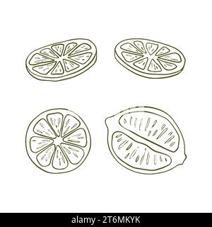 Vektor-handgezeichnete Zitronen. Ganze Zitrone, in Stücke geschnitten, halb. Illustration im Stil der Gravur tropischer Sommerfrüchte. Das detaillierte Zitru Stock Vektor
