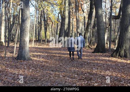 Mann und Frau gehen Arm und Arm im Camp Ground Road Woods auf dem North Branch Trail in des Plaines, Illinois im Herbst Stockfoto