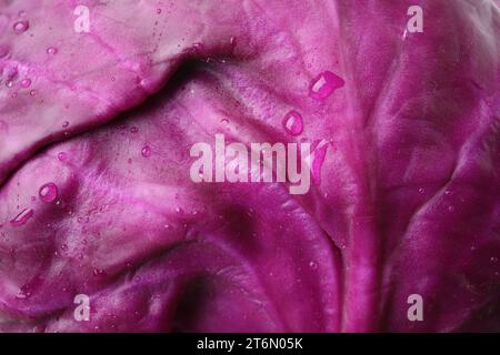 Frischer Rotkohl mit Wassertropfen als Hintergrund, Nahaufnahme Stockfoto