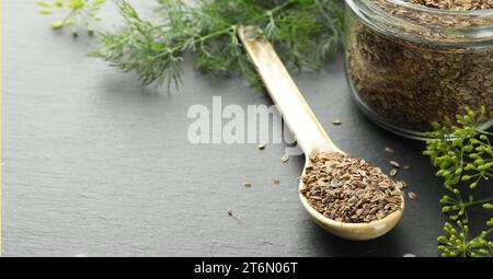 Dill Samen in Löffel und Glas auf grauem Tisch. Bannerdesign mit Platz für Text Stockfoto