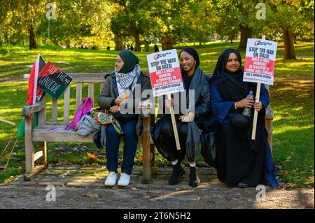 London, Großbritannien. November 2023. Palästina Protest March, London, UK Credit: Mary-Lu Bakker/Alamy Live News Stockfoto