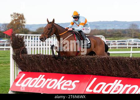 Down Royal, Nordirland, Samstag, 11. November 2023. Ash Tree Meadow und Jack Kennedy gewinnen racingtv.com/freetrial die Steeplechase für Trainer Gordon Elliott und Eigentümer Alymer Stud Quelle: JTW equine Images/Alamy Live News Stockfoto