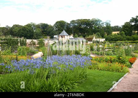 Fyvie Castle, Fyvie, Aberdeenshire, Schottland. Blick auf den ummauerten Garten der schottischen Früchte, im August. Stockfoto