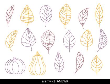 Herbstblätter und Kürbisse. Vektorabbildung von Konturen, Strichgrafik. Illustration der Vektorkritzelei. Stock Vektor