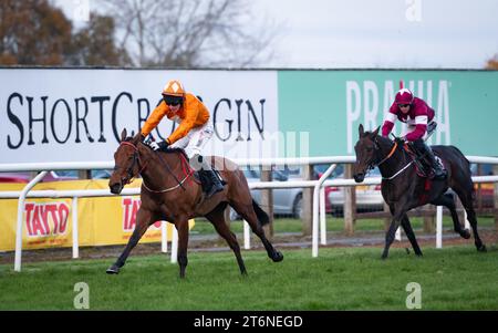 Down Royal, Nordirland, Samstag, 11. November 2023. Big Dee und Jockey Mr. J. C. Barry gewinnen das Ladbrokes Pro/AM Flat Race für Trainer Eoin Christopher McCarthy und Eigentümer Sean Maguire. Credit JTW equine Images / Alamy Live News. Stockfoto