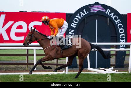 Down Royal, Nordirland, Samstag, 11. November 2023. Big Dee und Jockey Mr. J. C. Barry gewinnen das Ladbrokes Pro/AM Flat Race für Trainer Eoin Christopher McCarthy und Eigentümer Sean Maguire. Credit JTW equine Images / Alamy Live News. Stockfoto