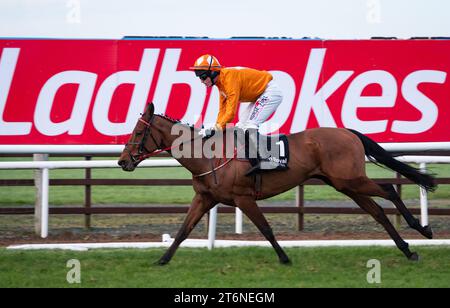 Down Royal, Nordirland, Samstag, 11. November 2023. Big Dee und Jockey Mr. J. C. Barry gewinnen das Ladbrokes Pro/AM Flat Race für Trainer Eoin Christopher McCarthy und Eigentümer Sean Maguire. Credit JTW equine Images / Alamy Live News. Stockfoto