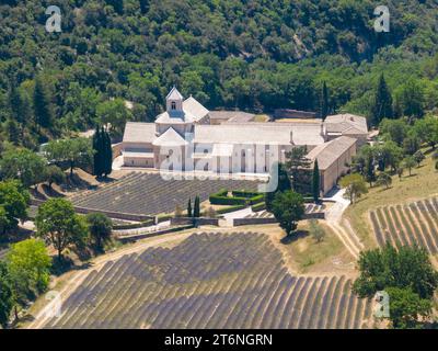Luftaufnahme der Zisterzienserabtei Senanque mit Lavendelfeld, in Gordes, Vaucluse, Provence, Provence-Alpes-Cote d'Azur, Frankreich Stockfoto