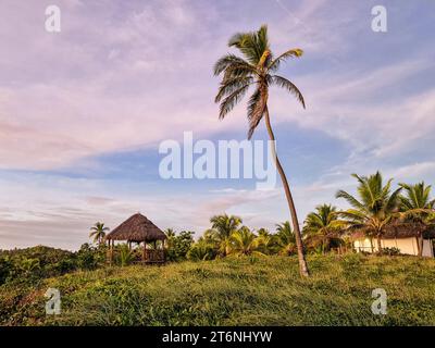 Blick auf den Strand von Imbassai, Bahia, Brasilien. Wunderschöner Strand im Nordosten mit einem Fluss und Palmen. Stockfoto