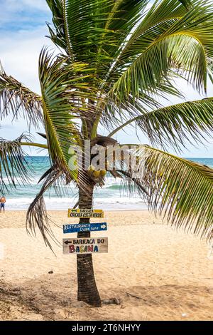 Blick auf den Strand von Imbassai, Bahia, Brasilien. Wunderschöner Strand im Nordosten mit einem Fluss und Palmen. Stockfoto