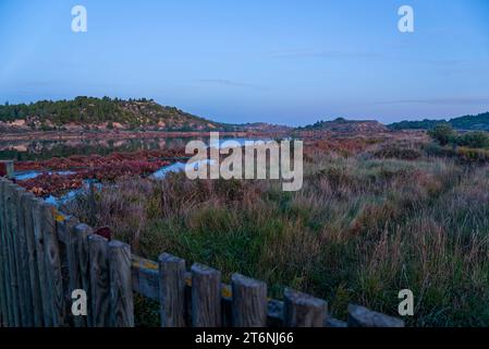 série de photos prises en fin de journée à l'automne à Peyriac de Mer (Aude) - Fotos, die am Ende des Tages im Herbst aufgenommen wurden Stockfoto