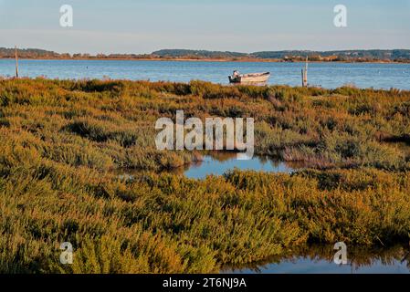 série de photos prises en fin de journée à l'automne à Peyrac (Aude) et au bord de l'étang avec des Flamands Roses Stockfoto