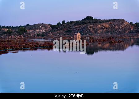 série de photos prises en fin de journée à l'automne à Peyriac de Mer (Aude) - Fotos, die am Ende des Tages im Herbst aufgenommen wurden Stockfoto