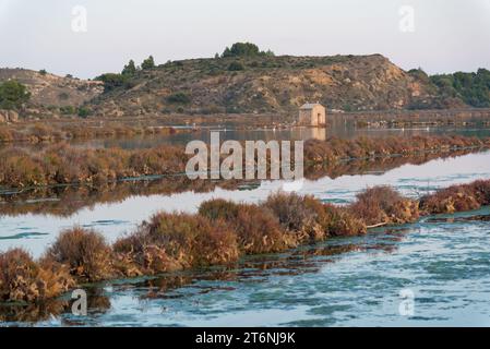 série de photos prises en fin de journée à l'automne à Peyriac de Mer (Aude) - Fotos, die am Ende des Tages im Herbst aufgenommen wurden Stockfoto