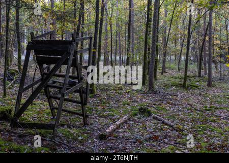 Ein verlassener kaputter Jägersitz Hochsitz steht zwischen Bäumen / Natur Wald Herbst / Datum: 05.11.2023 / *** ein verlassener gebrochener Jägersitz Hochsitz steht zwischen Bäumen Naturwald Herbst Datum 05 11 2023 Stockfoto