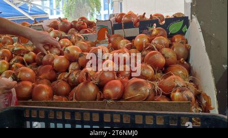 Zwiebelgemüse in einem Lebensmittelgeschäft Stockfoto