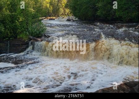 Die unteren Tahquamenon Falls, die durch einen üppig grünen Wald führen Stockfoto