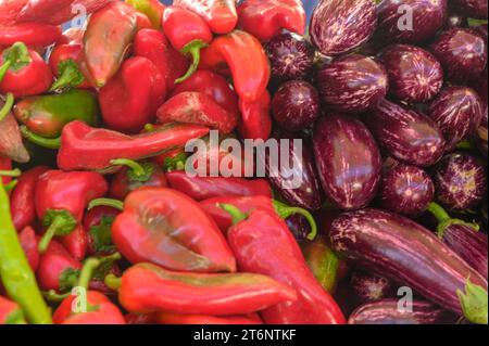 Frisch gestreifte violette Auberginen und rote Paprika auf dem lokalen Markt Stockfoto