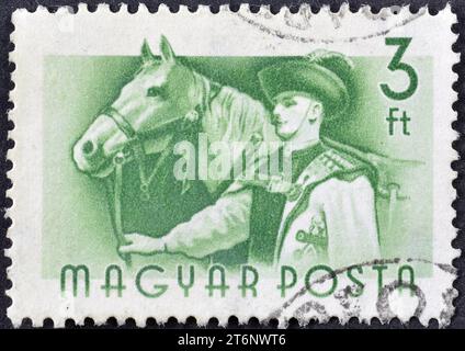 Gestempelte Briefmarke von Ungarn, die Pferd (Equus ferus caballus) und Bräutigam zeigt, um 1955. Stockfoto