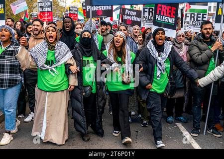 London, Großbritannien. November 2023. Hunderttausende Demonstranten marschieren durch die Londoner Innenstadt, um die Bevölkerung von Gaza zu unterstützen. Quelle: Grant Rooney/Alamy Live News Stockfoto