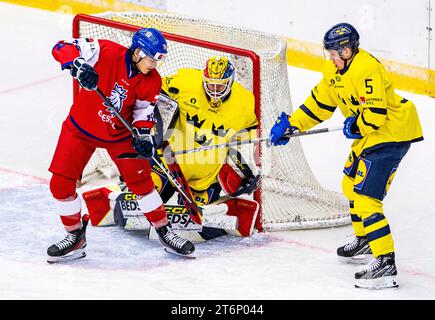 Von Links Hugo Havelid, Torwart Von Schweden Und Tschechen Sebastian ...