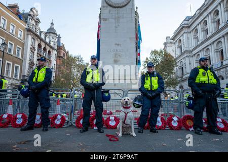 11. November 2023, London, Vereinigtes Königreich: Demonstranten wird an diesem Wochenende verboten, sich in die Nähe des Cenotaph zu begeben, da die Polizei das Denkmal unter einen Ring aus Stahl von 24/7 stellte. Die Sperrzonen sind Whitehall, Horse Guards Parade, dem Westminster Abbey Field of Remembrance und anderen relevanten Gebieten auferlegt und verbieten den Teilnehmern auf dem marsch den zutritt zu diesen Orten. (Kreditbild: © Velar Grant/ZUMA Press Wire) NUR REDAKTIONELLE VERWENDUNG! Nicht für kommerzielle ZWECKE! Stockfoto