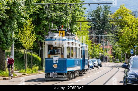 Das Zürcher Tram - Elefant im Jahr 1930 wurde das Tram StStZ CE 4/4 321 an die Städtische Strassenbahn Zürich abgeliefert. Es ist ein schwerer vierachsiger Motorwagen mit Mitteleinstieg und Quersitzen. Bekannt ist das Tram auch unter dem Namen Elefant. 1966 wurde das Tram ausrangiert. Seit 1975 steht es der VBZ als Museumstram zur Verfügung. Hier im Rahmen der Jubliäumsfeier zu 175 Jahre Eisenbahn in der Schweiz auf der Linie 6 zwischen Hauptbahnhof Zürich und Zoo Zürich. Zürich, Schweiz, 21.05.2022 *** die Züricher Elefant-Straßenbahn 1930 wurde die StStZ CE 4 4 321 an die geliefert Stockfoto