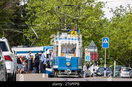 Das Zürcher Tram - Elefant im Jahr 1930 wurde das Tram StStZ CE 4/4 321 an die Städtische Strassenbahn Zürich abgeliefert. Es ist ein schwerer vierachsiger Motorwagen mit Mitteleinstieg und Quersitzen. Bekannt ist das Tram auch unter dem Namen Elefant. 1966 wurde das Tram ausrangiert. Seit 1975 steht es der VBZ als Museumstram zur Verfügung. Hier im Rahmen der Jubliäumsfeier zu 175 Jahre Eisenbahn in der Schweiz auf der Linie 6 zwischen Hauptbahnhof Zürich und Zoo Zürich. Zürich, Schweiz, 21.05.2022 *** die Züricher Elefant-Straßenbahn 1930 wurde die StStZ CE 4 4 321 an die geliefert Stockfoto