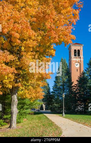 CEDAR FALLS, IA, USA - 21. OKTOBER 2023: Auf dem Campus der University of Northern Iowa. Stockfoto