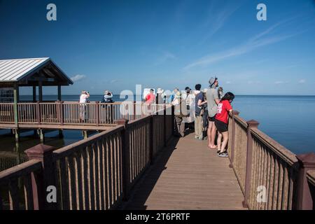 South Padre Island Birding & Nature Center, Promenade und Aussichtsturm, South Padre Island, isabella, texas, usa Stockfoto