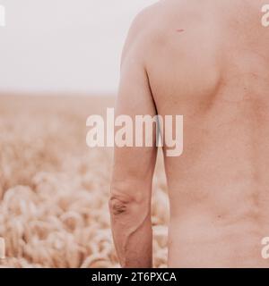 Rückansicht eines männlichen Mannes mit einer muskulösen Struktur in der Mitte eines Weizenfeldes Stockfoto