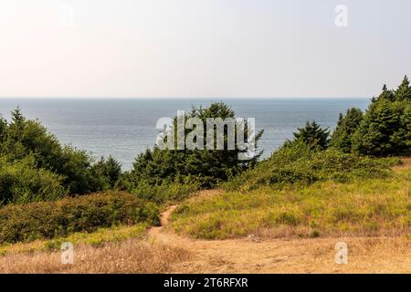 Vom Ecola State Park entlang der Küste von Oregon aus hat man einen Blick auf den Pazifik, mit immergrünen Bäumen im Vordergrund und einem hellen klaren Himmel darüber. Stockfoto