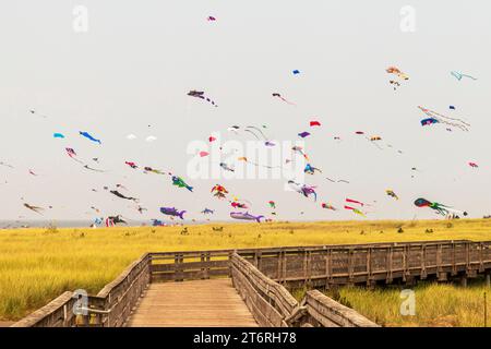 Beim Long Beach International Kite Festival im Bundesstaat Washington fliegen unzählige bunte Drachen in verschiedenen Formen über dem Seegras Stockfoto