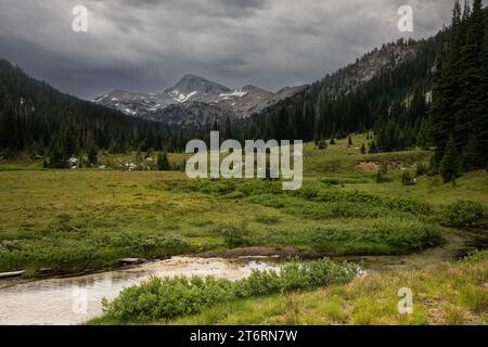 OR02706-00...OREGON - Eagle Cap Peak von den offenen Wiesen entlang des East Fork Lostine Trail in der Eagle Cap Wilderness. Stockfoto