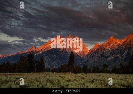 WY05780-00...WYOMING - Morgenlicht auf dem Grand Teton und den benachbarten Gipfeln im Grand Teton National Park. Stockfoto