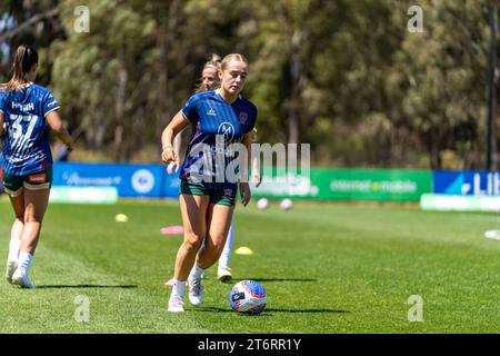 Bundoora, Australien. 12. November 2023. Quelle: James Forrester/Alamy Live News Stockfoto