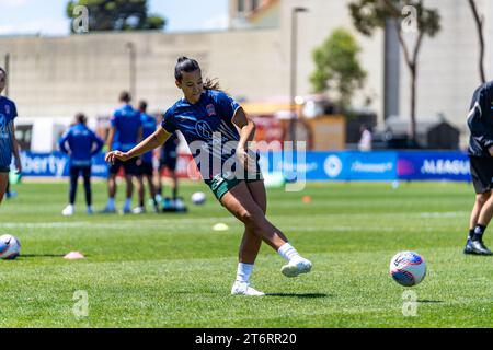 Bundoora, Australien. 12. November 2023. Quelle: James Forrester/Alamy Live News Stockfoto