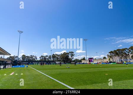 Bundoora, Australien. 12. November 2023. Quelle: James Forrester/Alamy Live News Stockfoto