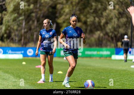 Bundoora, Australien. 12. November 2023. Quelle: James Forrester/Alamy Live News Stockfoto