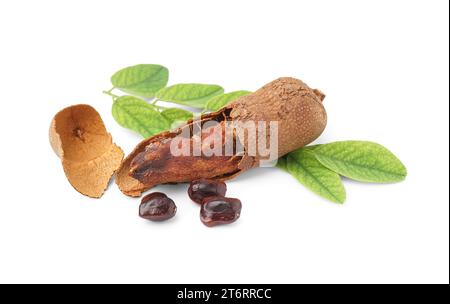 Leckere Tamarinde, Blatt und Samen auf weißem Hintergrund Stockfoto