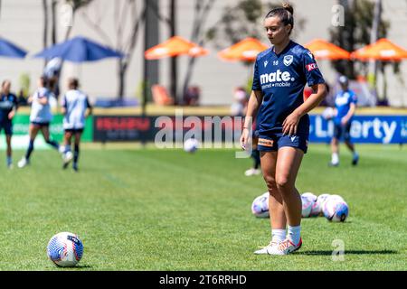 Bundoora, Australien. 12. November 2023. Quelle: James Forrester/Alamy Live News Stockfoto