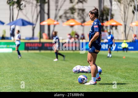 Bundoora, Australien. 12. November 2023. Quelle: James Forrester/Alamy Live News Stockfoto