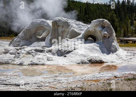 WY05800-00...WYOMING - Grotto Geysir im Upper Geyser Basin des Yellowstone National Park. Stockfoto