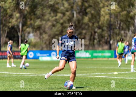 Bundoora, Australien. 12. November 2023. Quelle: James Forrester/Alamy Live News Stockfoto