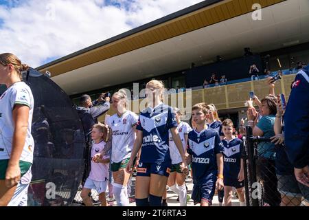 Bundoora, Australien. 12. November 2023. Quelle: James Forrester/Alamy Live News Stockfoto