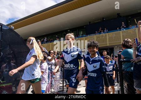 Bundoora, Australien. 12. November 2023. Quelle: James Forrester/Alamy Live News Stockfoto