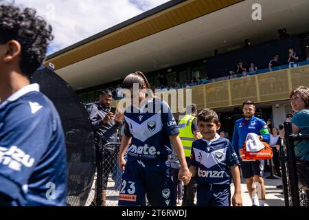 Bundoora, Australien. 12. November 2023. Quelle: James Forrester/Alamy Live News Stockfoto