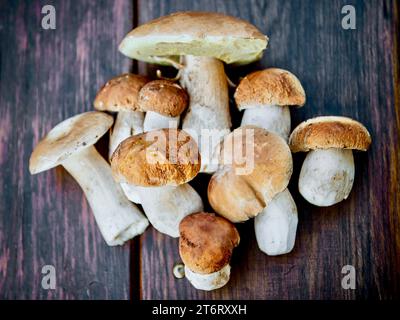 Pilze, die im Wald auf einem Holztisch gesammelt wurden, Polen. Stockfoto