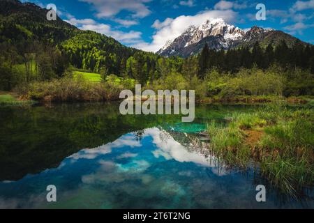 Einer der schönsten kleinen türkisfarbenen Bergseen Sloweniens. Der Zelenci-See in der Nähe von Kranjska Gora, Slowenien, Europa Stockfoto