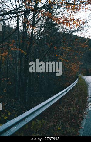 Straßensperre mit vielen Herbstfarben im Hintergrund. Stockfoto